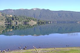 Lago Icalma.jpg