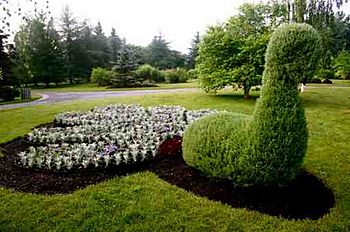 Le paon jardin botanique nouveau-brunswick