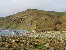 MacquarieIsland11.JPG