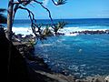 Manapany, La Réunion