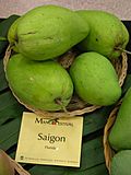 Mango Saigon Asit ftg.jpg