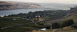 Maryhill from the Stonehenge replica