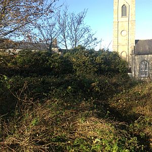 Monastery of Mohill ruined school