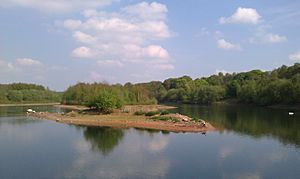 Moore Nature Reserve lake.jpg