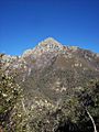 Mt. Wrightson from Jack Mtn.