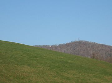 Mts. - Cabin 4-2010 038.JPG