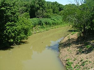 N Fork Licking River