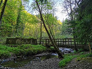 Nant-y-Ffrith footbridge