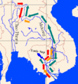 P hypophthalmus migrations