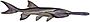 Paddlefish (white background).jpg