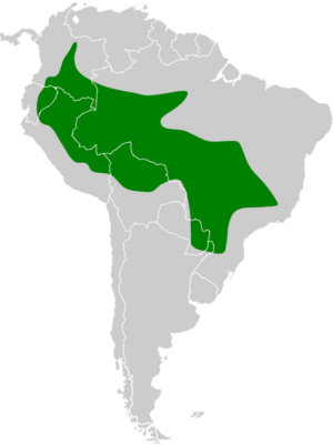 Pteroglossus castanotis map.svg