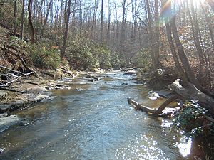 Quantico creek