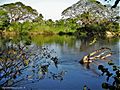 Río Guanare