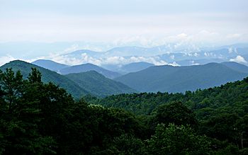 Rainy Blue Ridge-27527.jpg