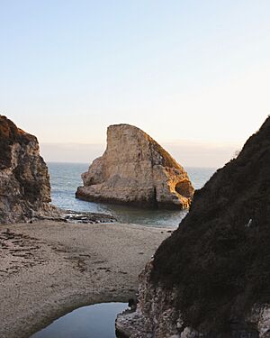 Shark Fin Cove