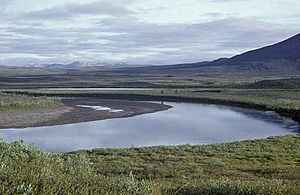 Sheenjek River YFNWR.jpg