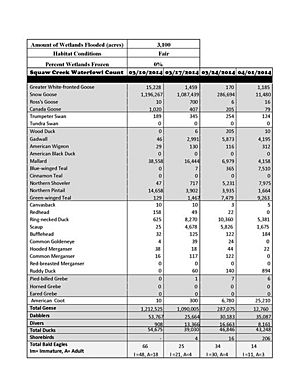 Squaw Creek waterfowl counts