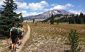 Three Sisters Wilderness