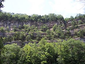 Tom Dorman Nature Preserve