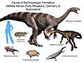 Trossingen formation NT