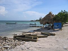 Utila Hondoras beach