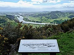 Waikato River from Hakarimata