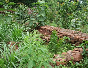 Walls against water runoff