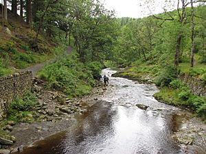 AfonMawddach-02s