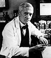 Alexander Fleming 3