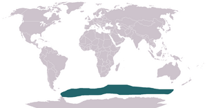 Antarctic Fur Seal area.png