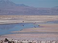 Atacama Desert