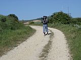 Auf dem Weg nach San Juan de Ortega - panoramio (1)