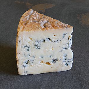 Bleu d'Élizabeth.jpg