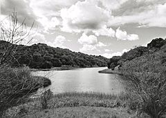 Briones reservoir 46