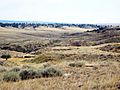 Buffalo Gap National Grassland