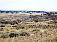 Buffalo Gap National Grassland