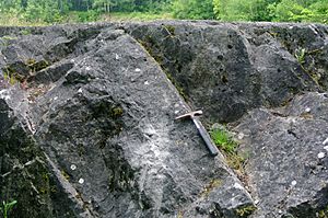 Carboniferous limestone Tedbury Camp