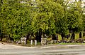 Carlisle MA Old Burying Ground