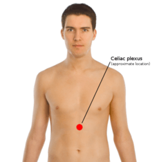 Celiac plexus coronal