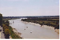 Charente à Tonnay.jpg