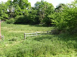 Chillesford Church Pit 3.jpg