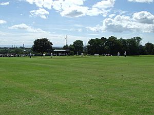 Cricket on Dinas Powys Common