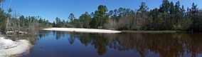 FL Blackwater River SP pano01.jpg