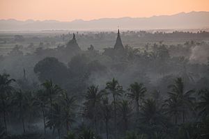 Haridaung-Mrauk U-Aussicht-12-Pagoden im Dunst-gje