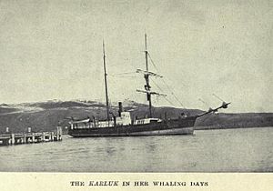 Karkuk whaler