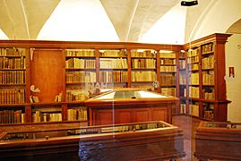 LibraryVirreinato