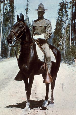 MountUSArmyCavalrymanYNP