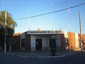 Muni de angacco.jpg