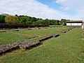 Nave of Lesnes Abbey