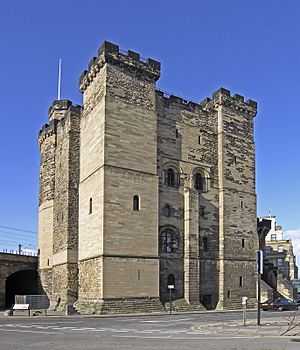 Newcastle schloss